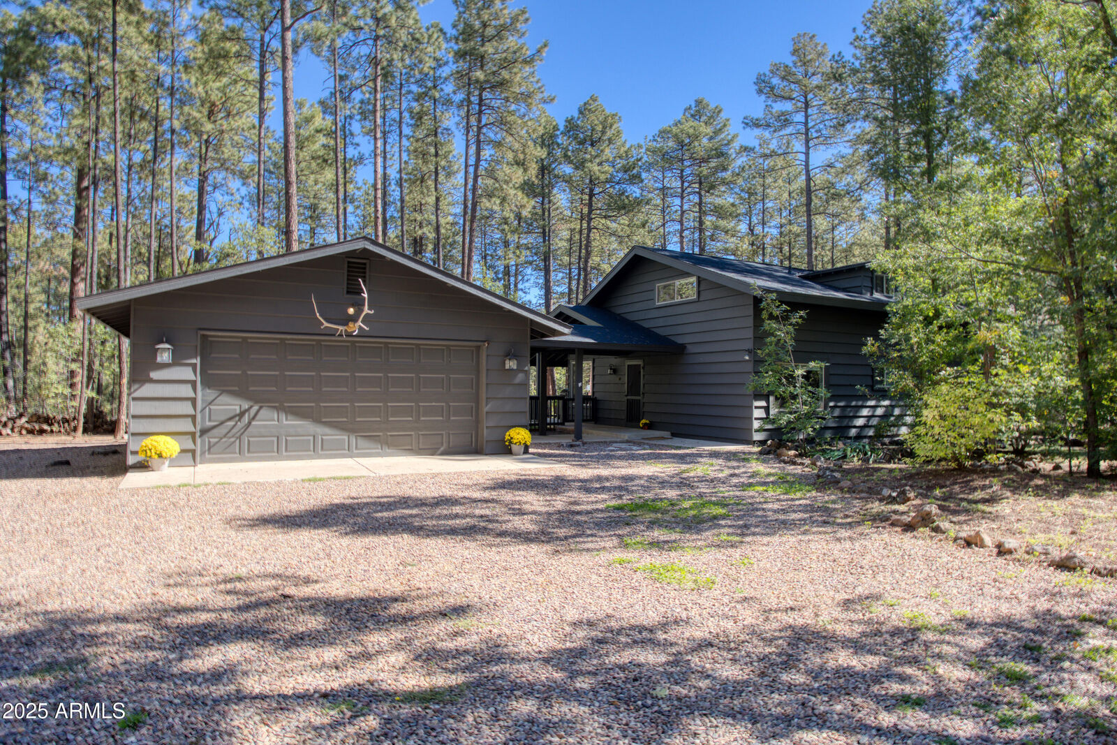 Property Photo:  3680 Woodpecker Lane  AZ 85935