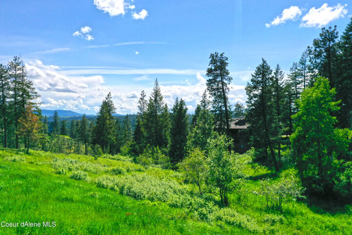 Property Photo:  L181 S Basonite Ct  ID 83814 