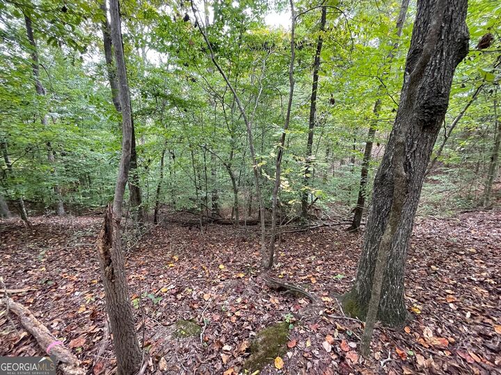 Property Photo:  Lot 296 Oconee Avenue  SC 29693