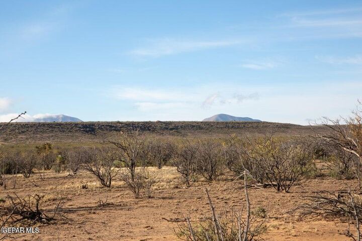 Property Photo: Tbd Tbd TX 79851