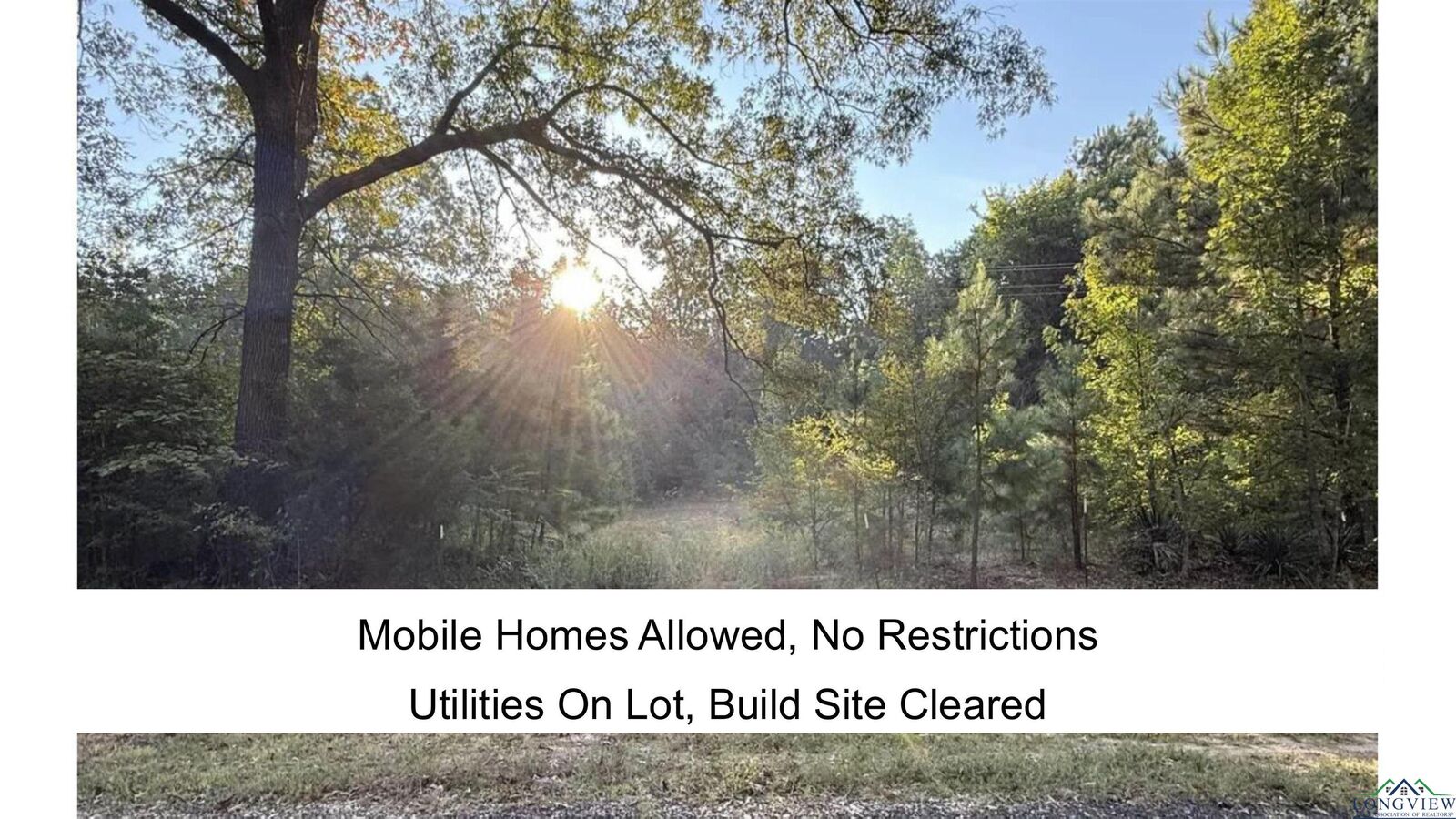 Property Photo: Tbd Fm 2796 TX 75644