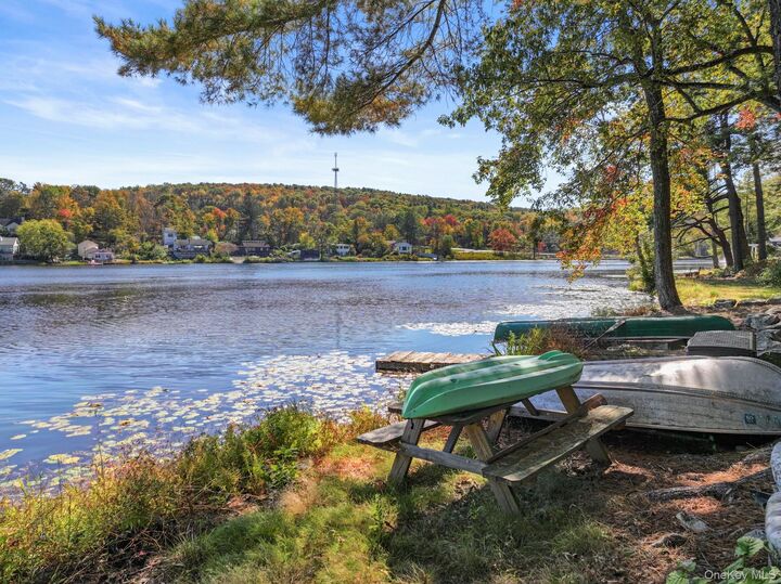 Property Photo:  42 Raymond Drive  NY 12771 