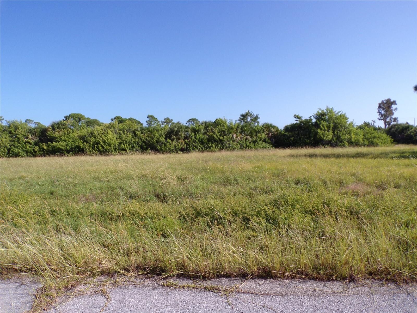 Property Photo: 13384 Alewife Lane FL 33946