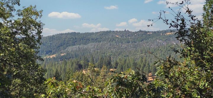 Property Photo:  0 Old Giannini Ranch Rd  CA 95666 
