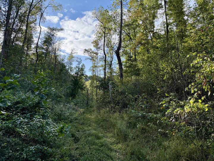 Property Photo:  806 Brandon Hollow Rd  TN 37352 