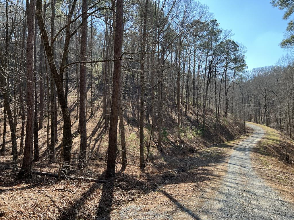 Property Photo: 1243R Onyx Court GA 30734