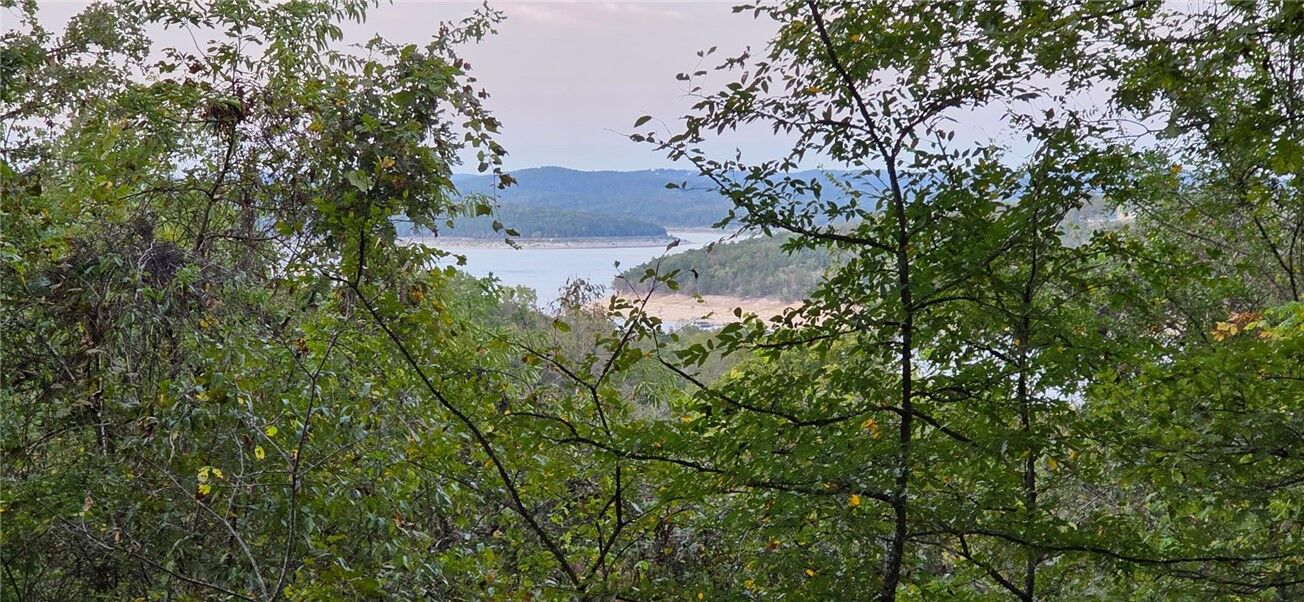 Property Photo: 00 Airpark Drive AR 72687
