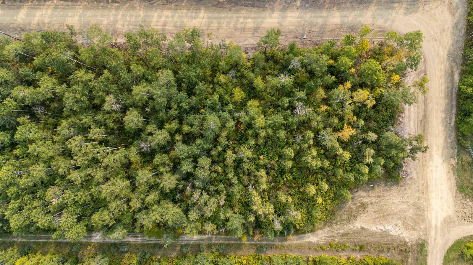 Photo de la propriété: 1 Crane Lane Murphy Lake SK S0M 1L0