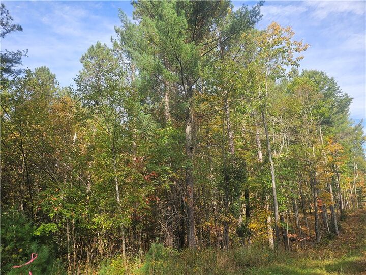 Property Photo: Xxx County Road H Road WI 54830