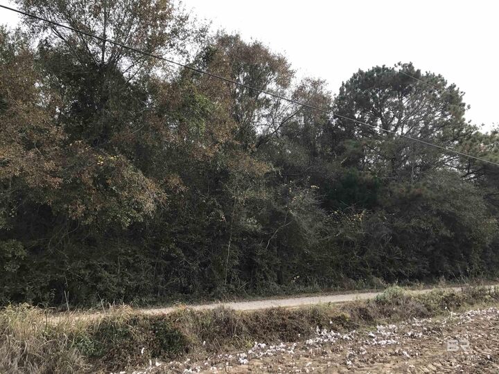 Property Photo: 24050 N River Road AL 36526