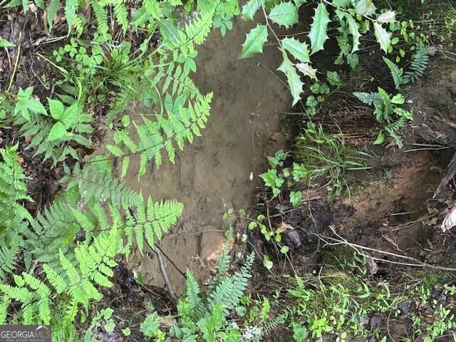 Property Photo: 0 Gumlog Road GA 30582