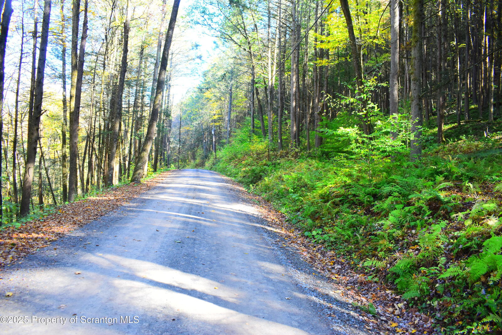 Property Photo:  Graham Hollow Road  PA 18822 