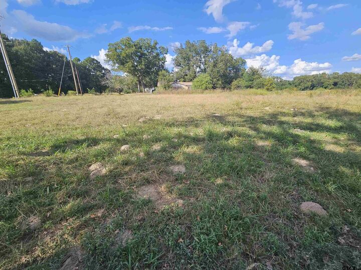 Property Photo:  Tbd Fm 315 & Cr 3316  TX 75758 