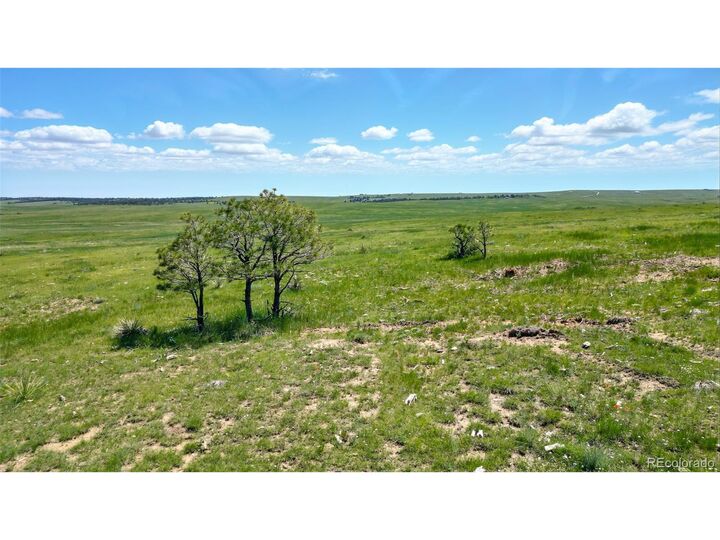 Property Photo:  Parcel #4 County Road 91  CO 80832 