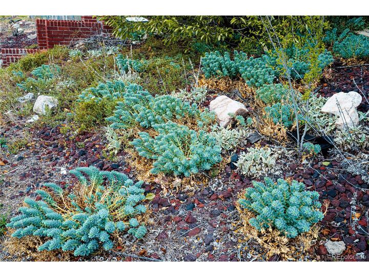 Property Photo:  3595 W 80th Ave  CO 80030 