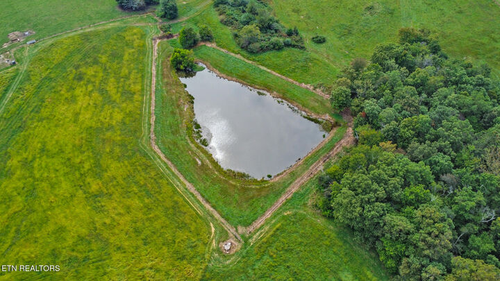 Property Photo:  Nicholson Drive-120 Acres +/-  TN 38572 