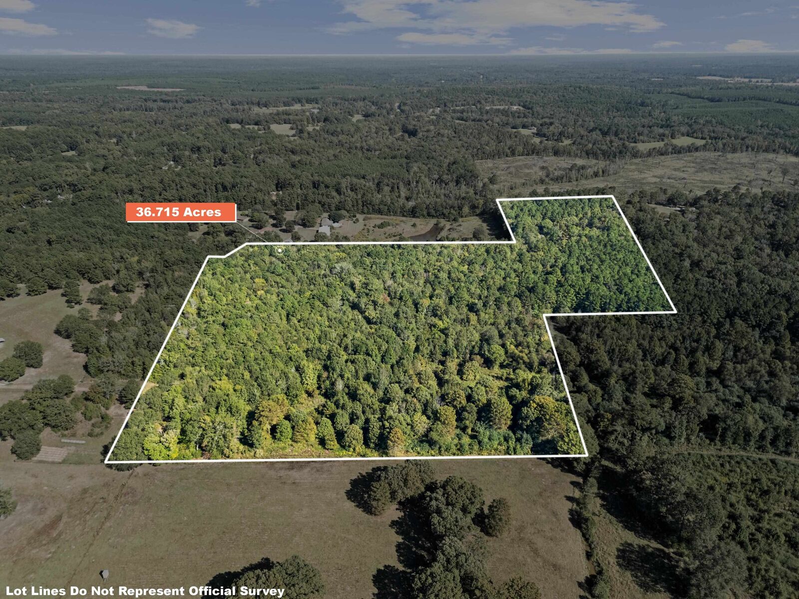Property Photo:  Tbd Cr 1882  TX 75563 