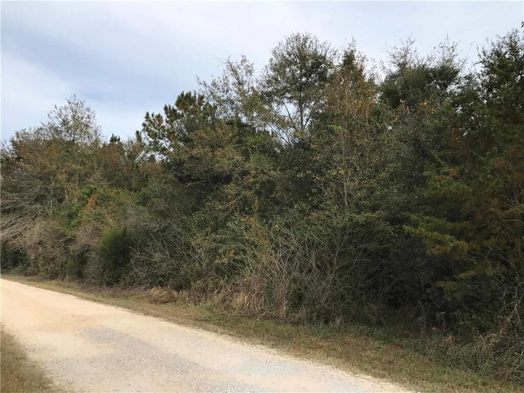 Property Photo: 24050 River Road N AL 36526