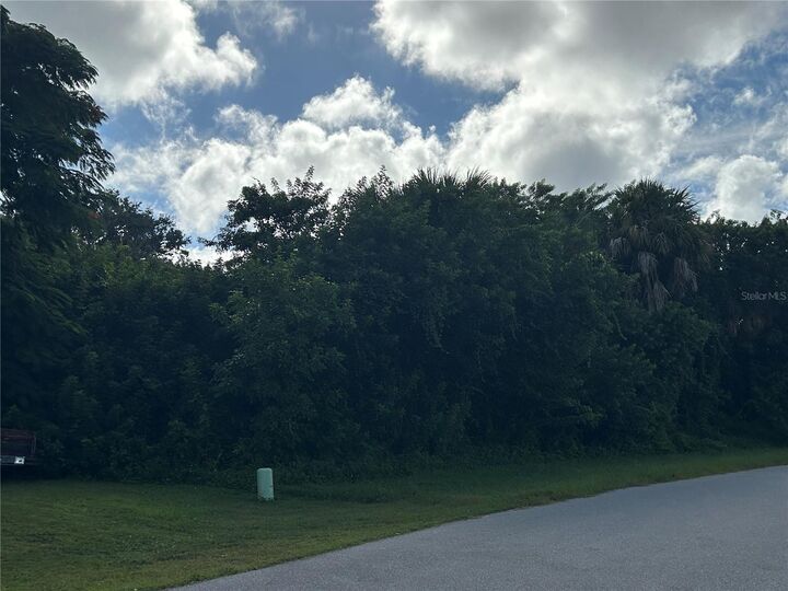 1528 Upshaw Terrace  Port Charlotte FL 33952 photo