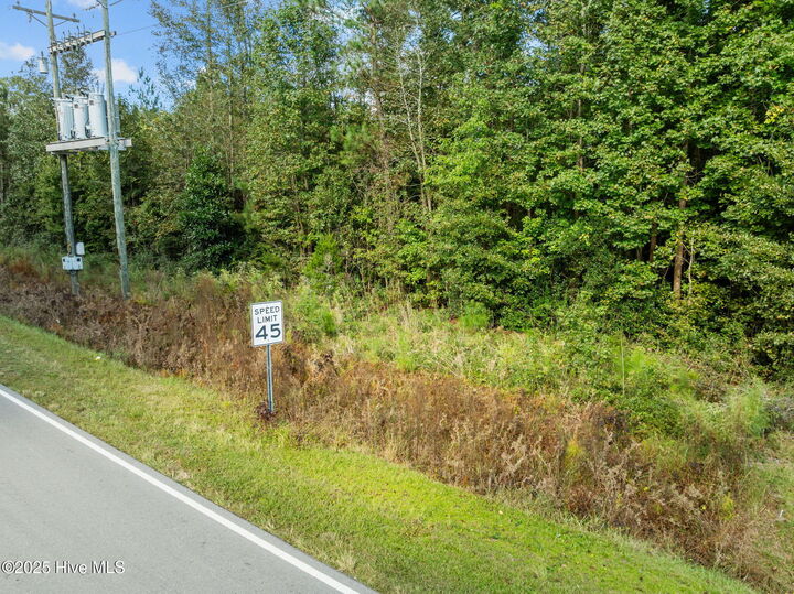 Property Photo:  Tbd Gurganus Road  NC 28454 