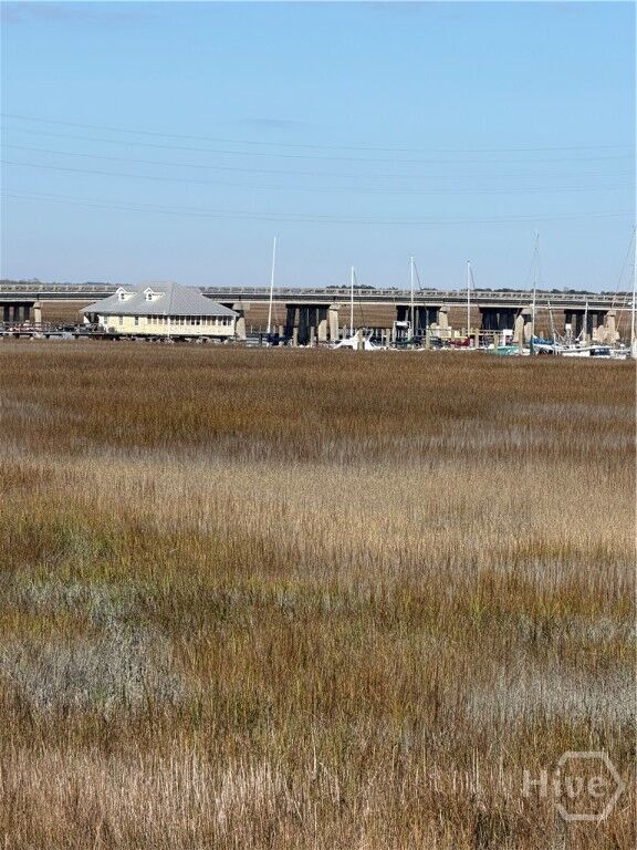 Property Photo:  142 Bull River Bluff Drive  GA 31410 