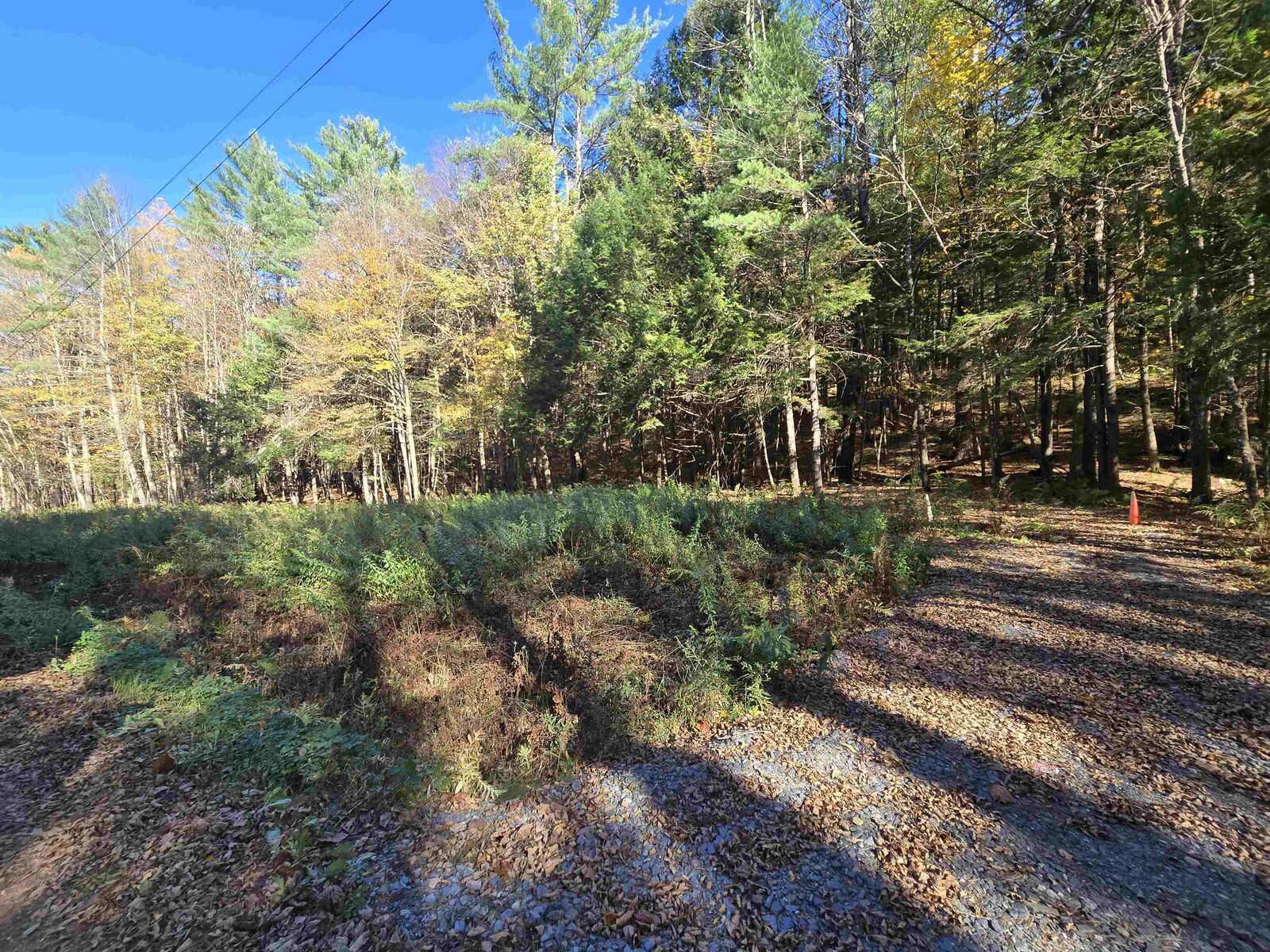 Property Photo:  00 Tandy Brook Road  NH 03745 