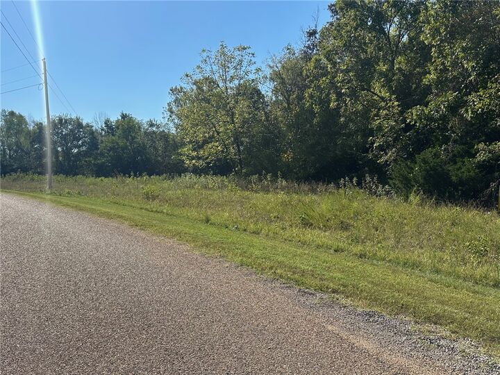 Property Photo:  Lot 24 Cougar Drive  AR 72653 