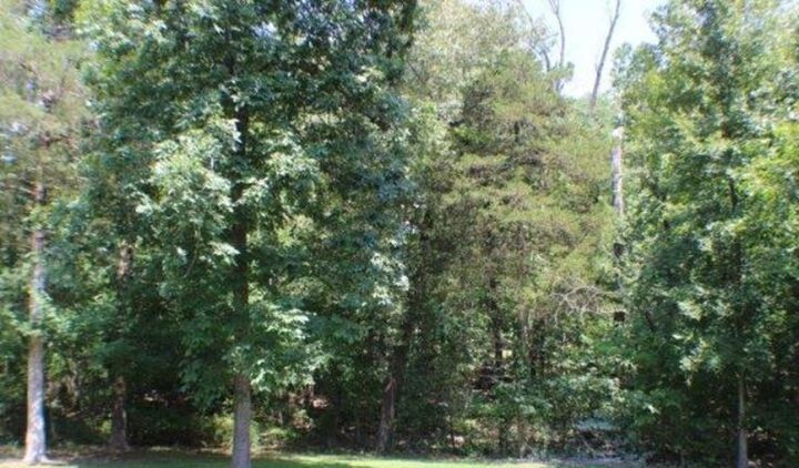 Property Photo:  Lots 498-500 McLean Street  AR 72626 