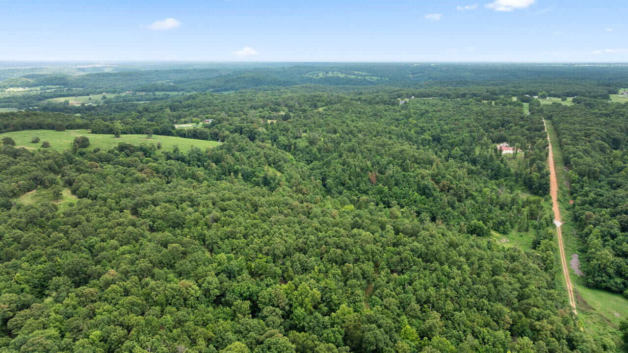 Property Photo: Tract 7 Styles Road MO 64854