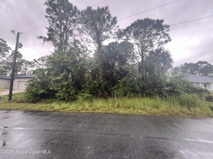 Property Photo:  149 Feldman Street SE  FL 32909