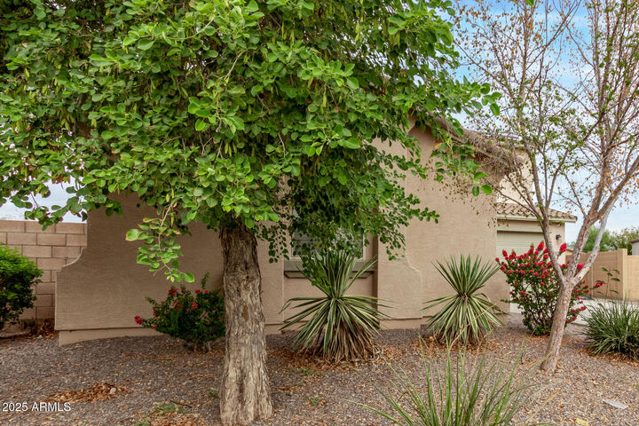 Property Photo: 18976 N Lariat Road AZ 85138