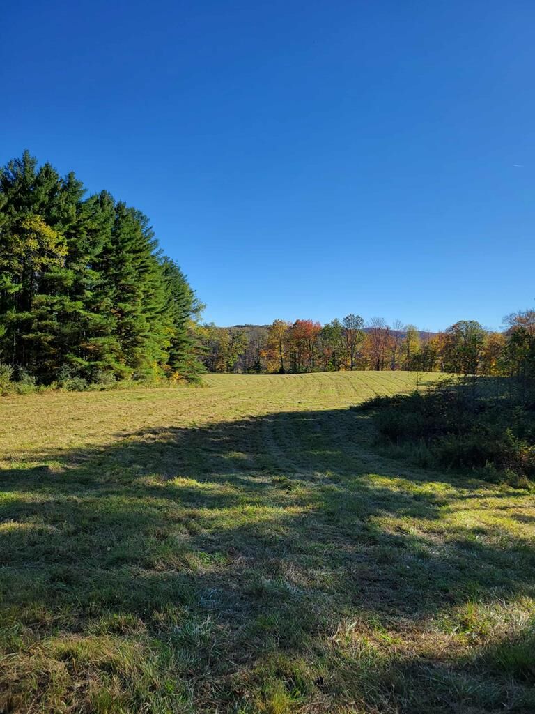 Property Photo: 0 Hurricane Ridge Road WV 25958