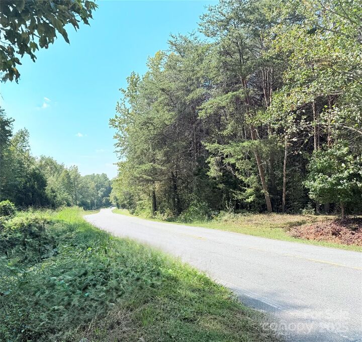 Property Photo: 1491 Landrum Road NC 28722