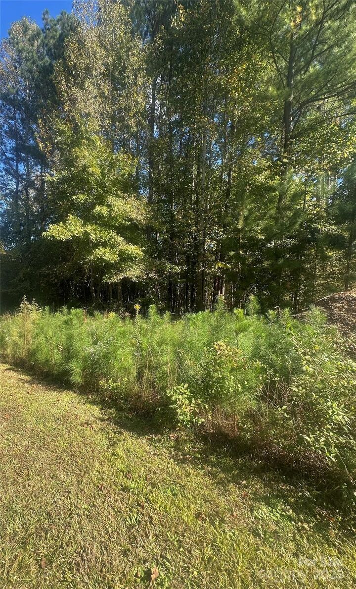 Property Photo: 624 Sunset Pointe Drive NC 28146