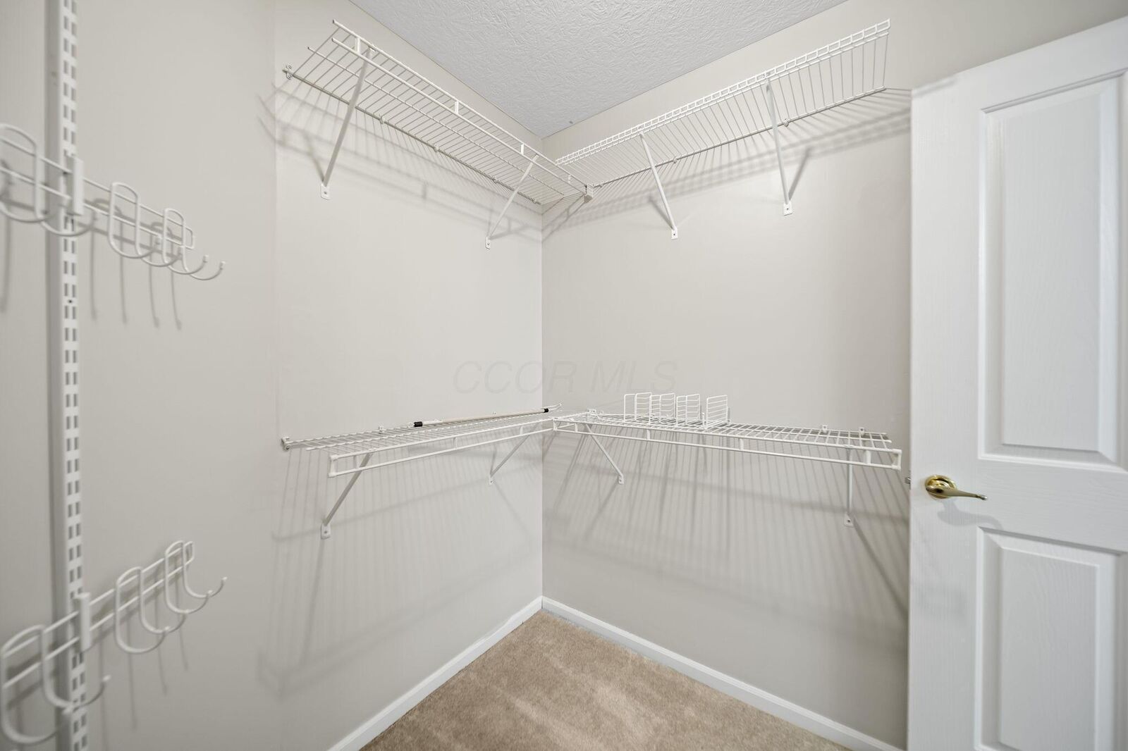 Property Photo: 131 Stonegate Drive OH 43062