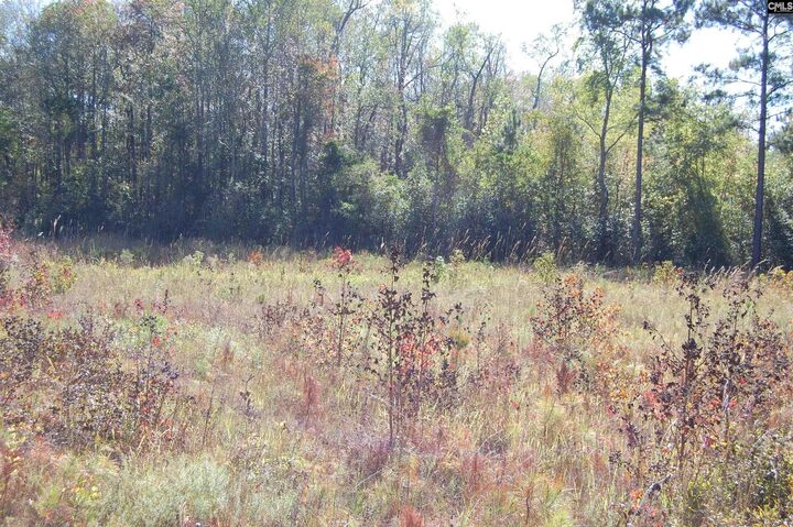 Property Photo: 322 Sandspur SC 29020