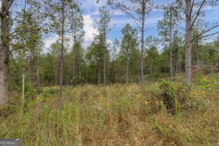 Property Photo:  0 County Road 689  AL 36273 