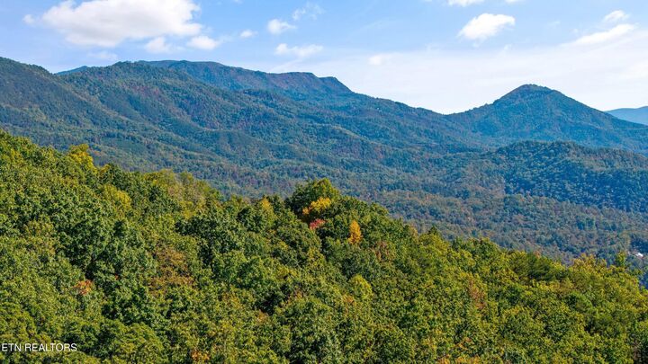 Property Photo: Off Sharp Road/Shell Mountain TN 37876