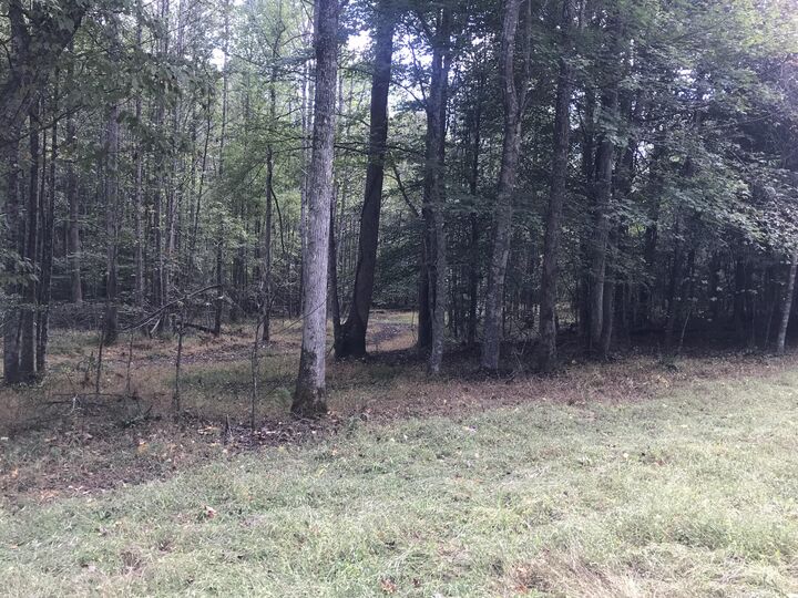 Property Photo: 0 Farmhouse Trail 91.2 Acres Land KY 40351