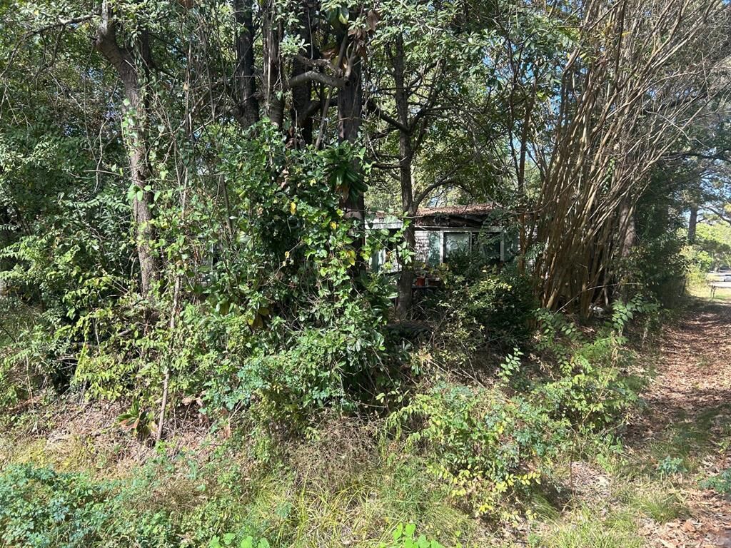 Property Photo: 623 Spruce TX 75949