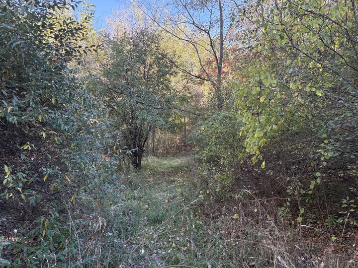 Property Photo: Vl 29 Clinton Way MI 49201