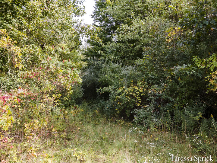 Property Photo: V/L 56th St MI 49408