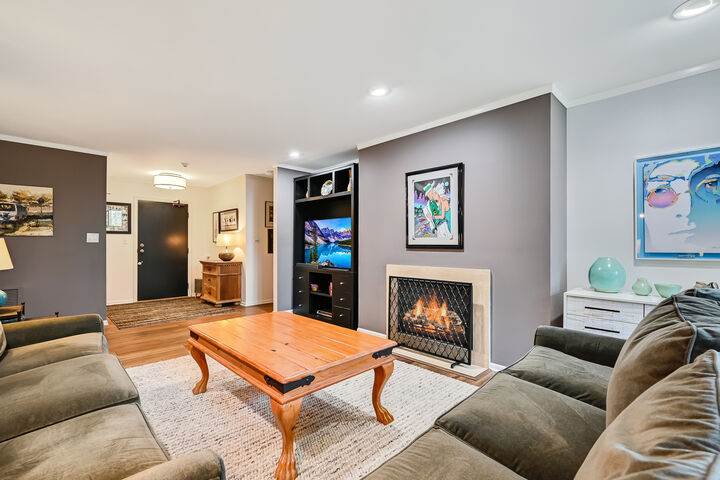 Property Photo:  1409 Burr Oak Road 111A  IL 60521