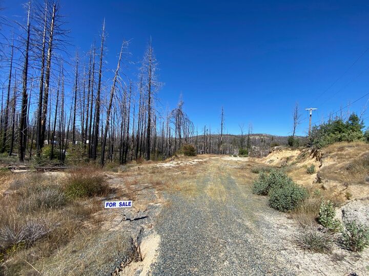 Property Photo: 1465 Bald Rock Road CA 95916
