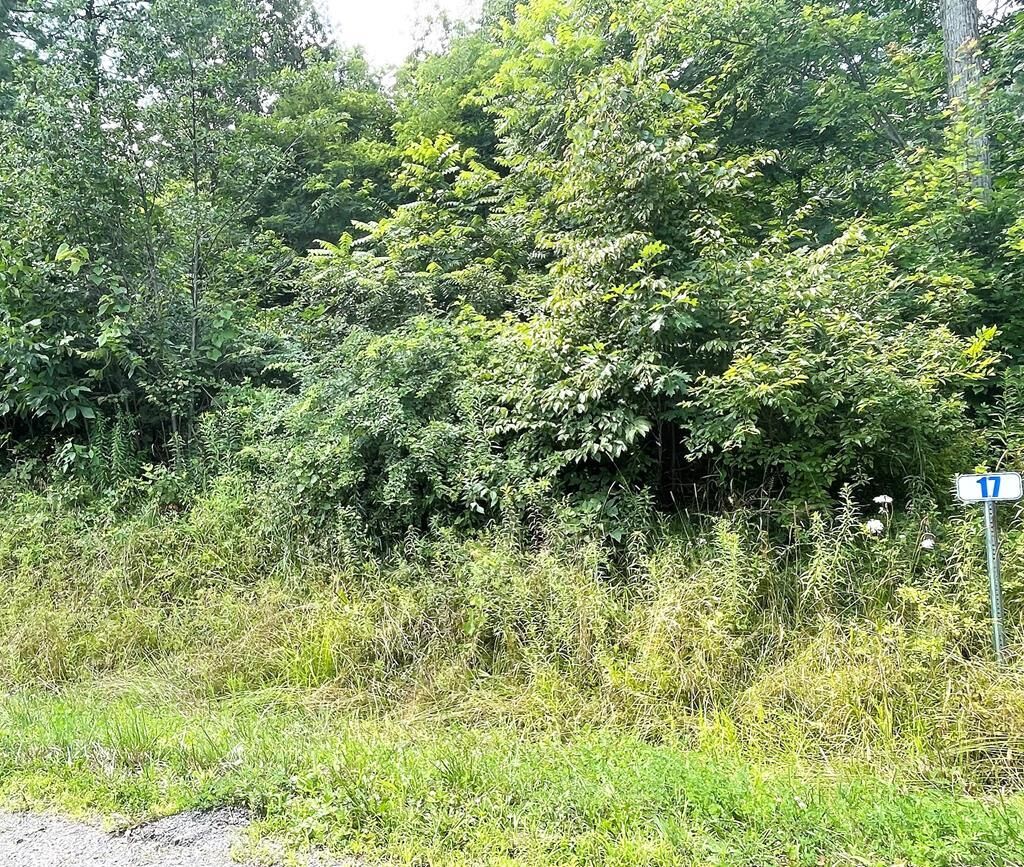 Property Photo:  Lot 17A Hemlock Hills Rd  PA 18848 