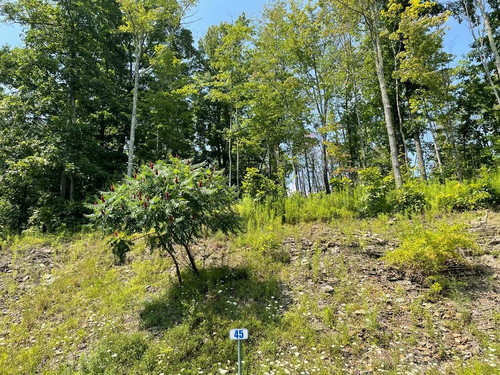 Property Photo: Lot 45A Hemlock Hills Rd PA 18848