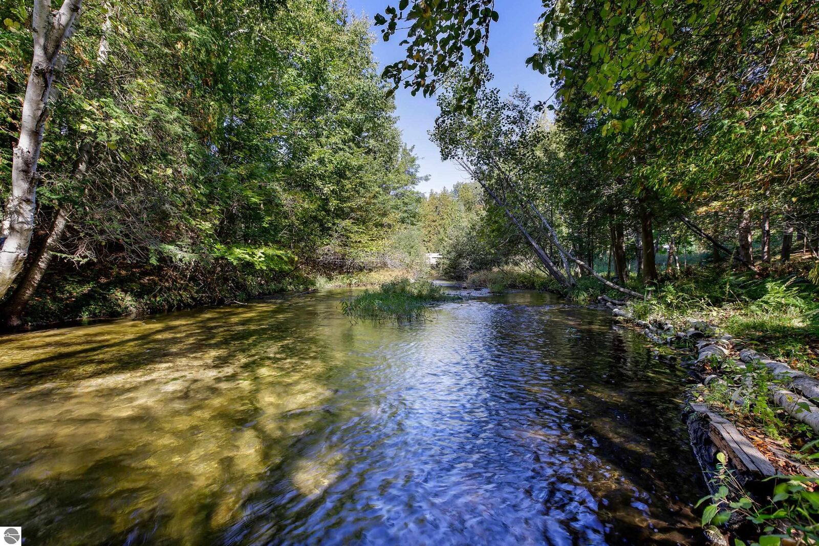 Property Photo: 1785 Elberta Resort Road MI 49635