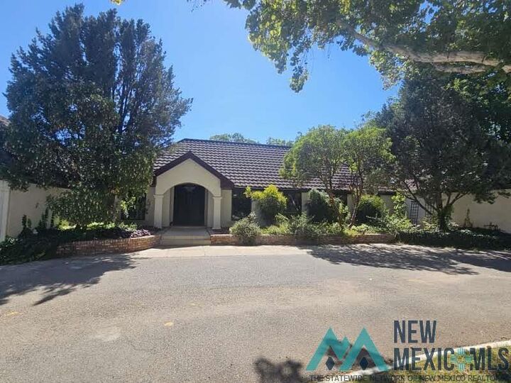 Property Photo:  1313 Doepp Drive  NM 88220