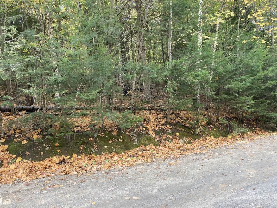 Property Photo:  Abnaki Trail  NH 03223 