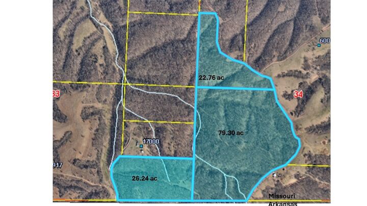 Property Photo:  Tract 13 Styles Road  MO 64854 